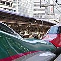 P17.jpg