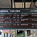 P15.jpg