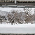 P30.jpg
