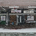 P35.jpg