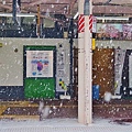 P36.jpg
