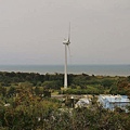 P03.jpg
