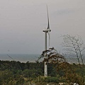 P18.jpg