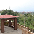 P12.jpg