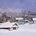 P04.jpg