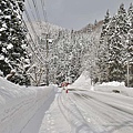 P13.jpg