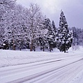 P19.jpg