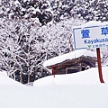 P21.jpg
