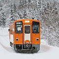P37.jpg