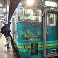 P13.jpg