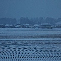 P14.jpg