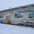 P20.jpg