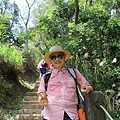 P11.jpg