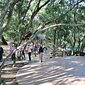P21.jpg