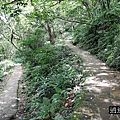 P09.jpg