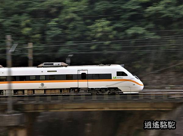P10.jpg