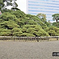 P23.jpg