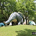 P15.jpg