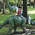 P19.jpg