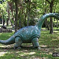 P20.jpg