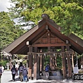 P20.jpg