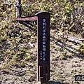 P08.jpg