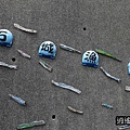 P15.jpg