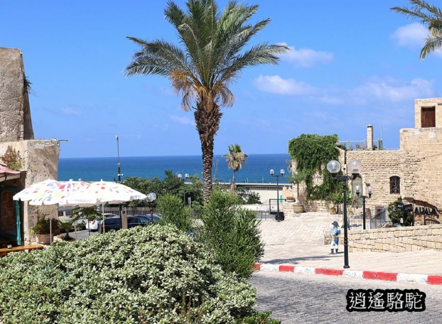雅法古城-以色列駱駝