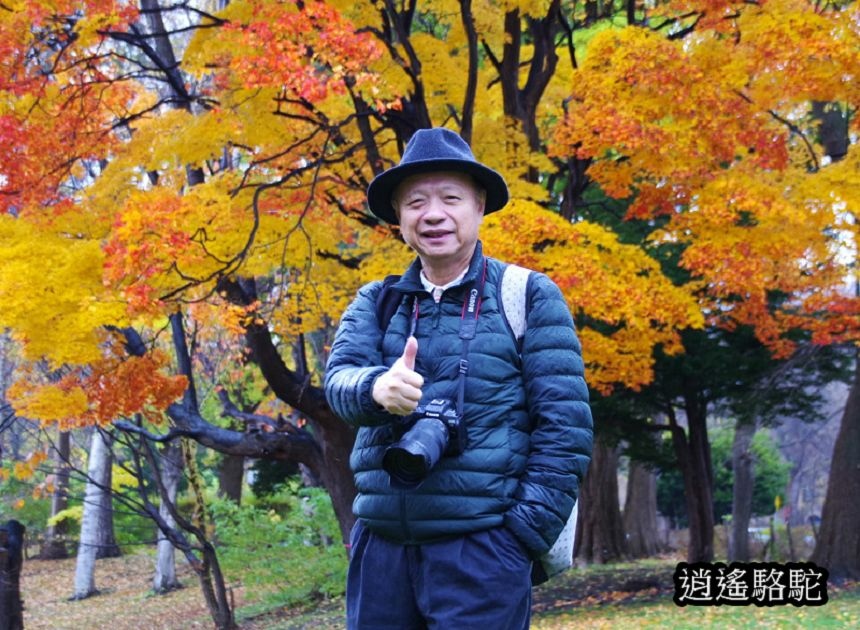 北海道大學秋葉繽紛-日本駱駝