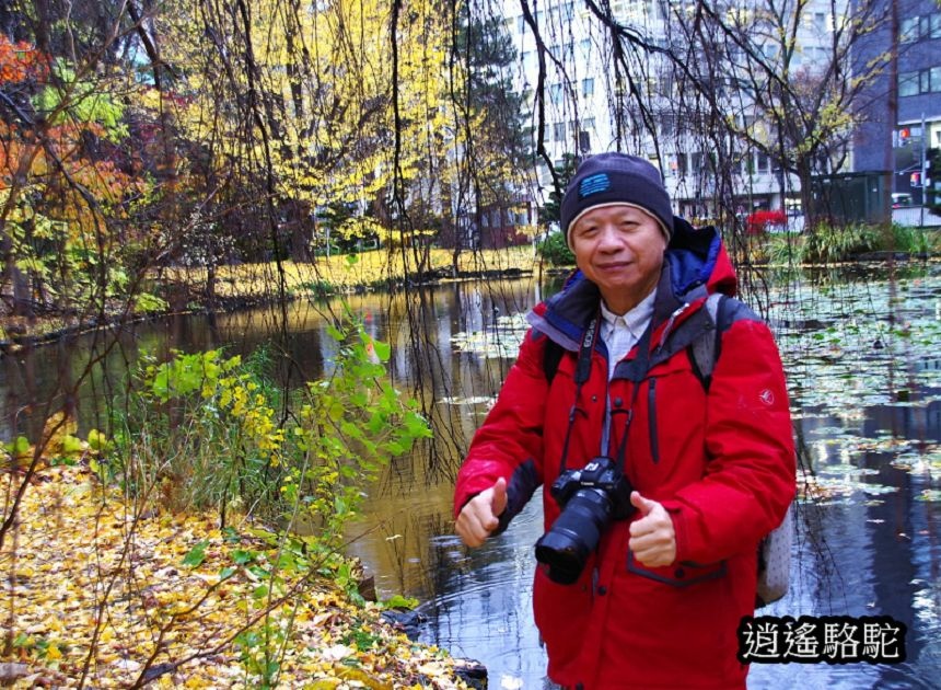 舊道廳深秋庭園-日本駱駝