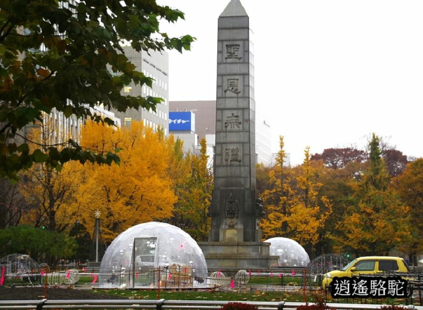 深秋寒雨中的大通公園-日本駱駝