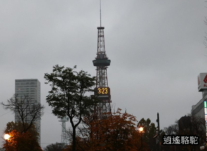 深秋寒雨中的大通公園-日本駱駝