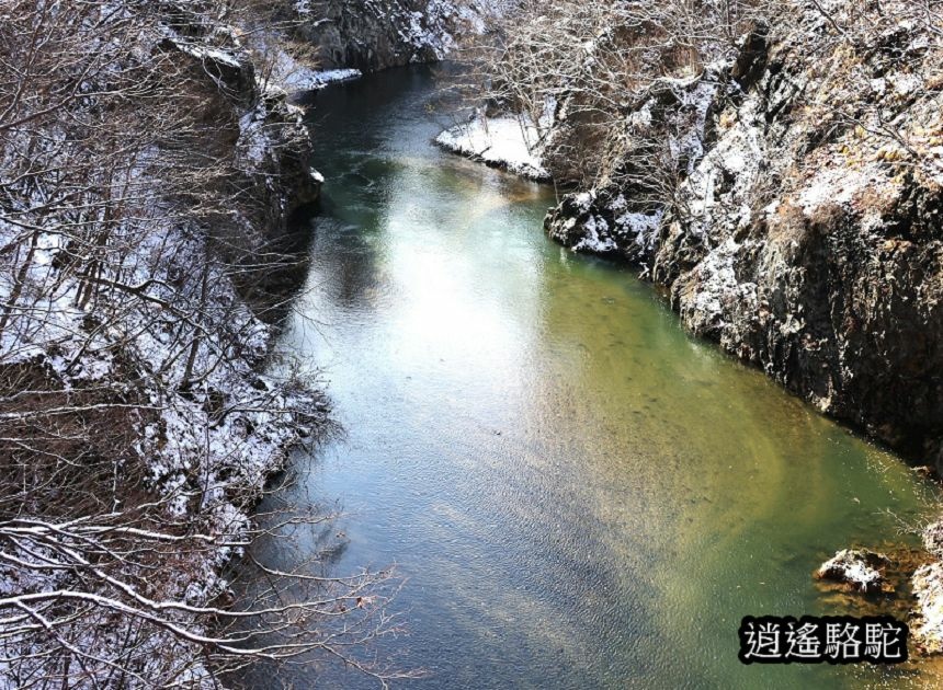 定山溪錦橋-日本駱駝