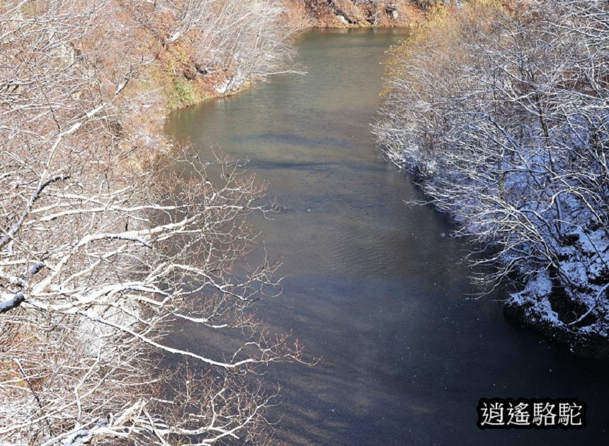 定山溪錦橋-日本駱駝