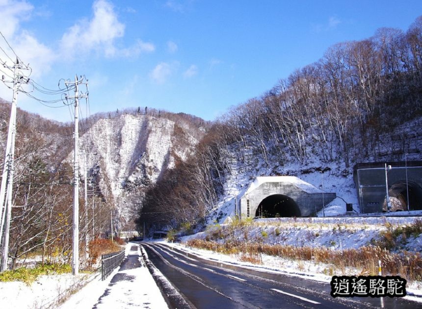 定山溪錦橋-日本駱駝