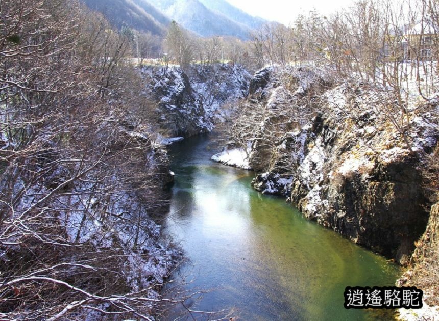 定山溪錦橋-日本駱駝