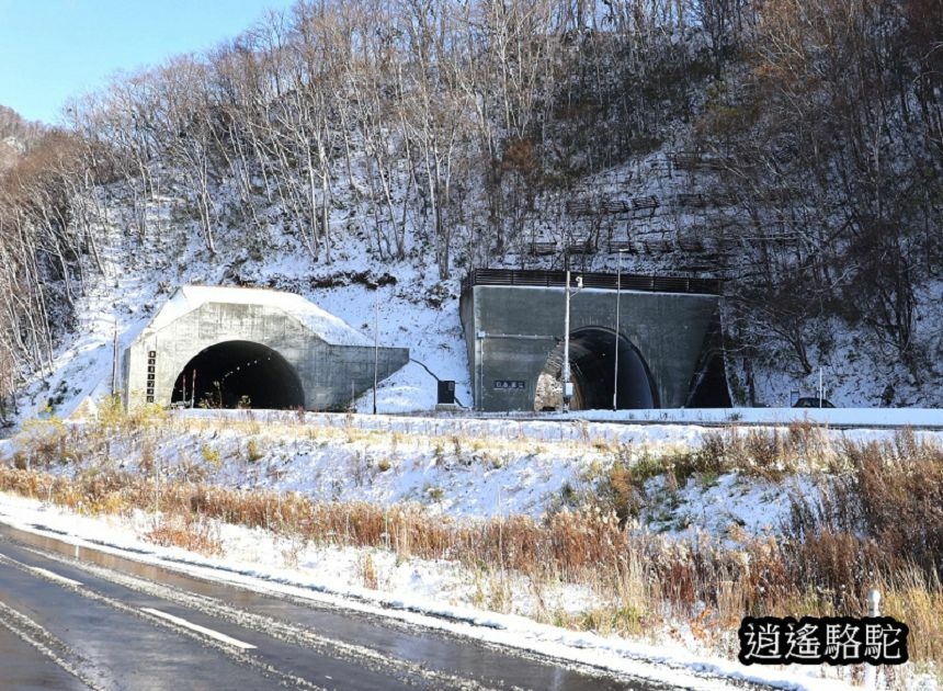 定山溪錦橋-日本駱駝