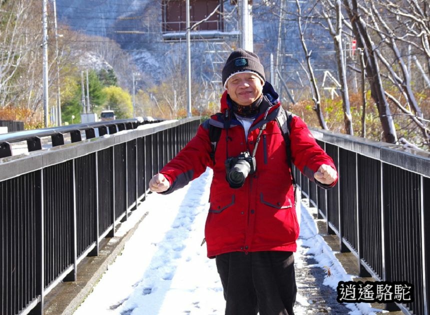 定山溪錦橋-日本駱駝