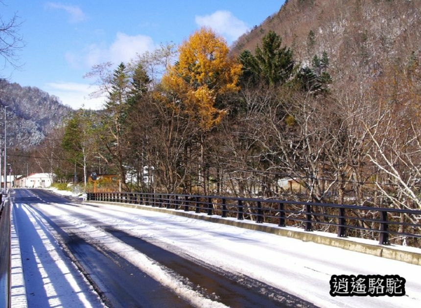 定山溪錦橋-日本駱駝