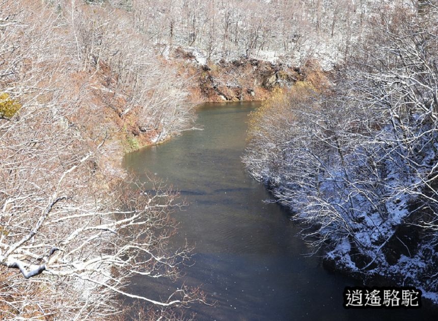 定山溪錦橋-日本駱駝