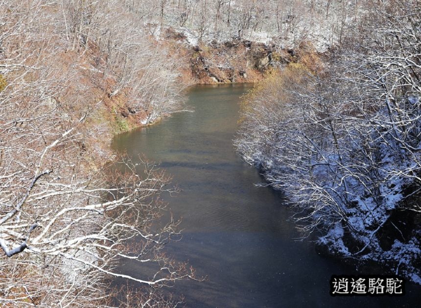 定山溪錦橋-日本駱駝