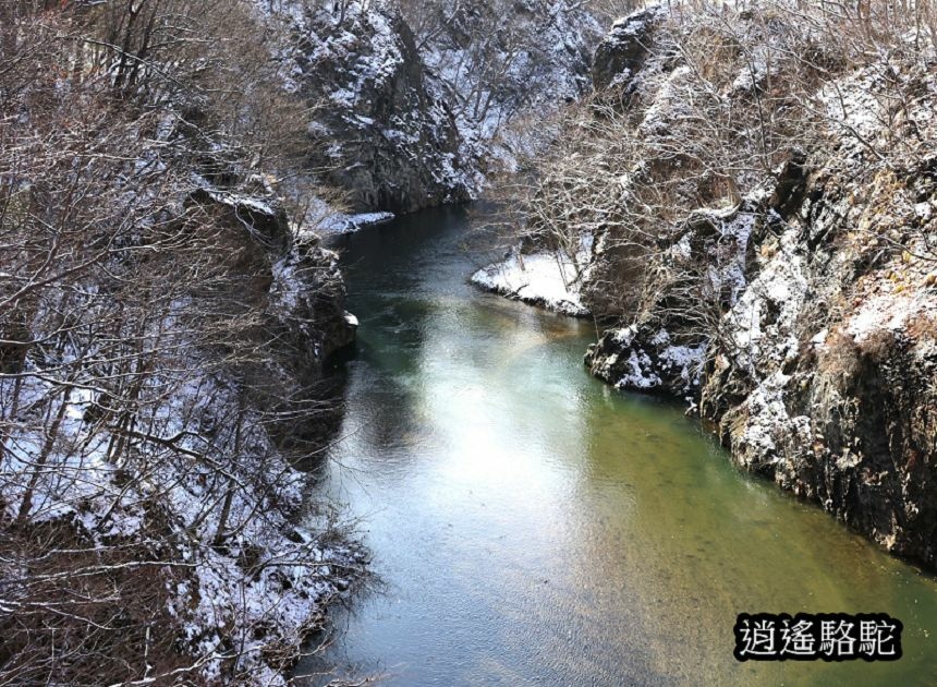 定山溪錦橋-日本駱駝