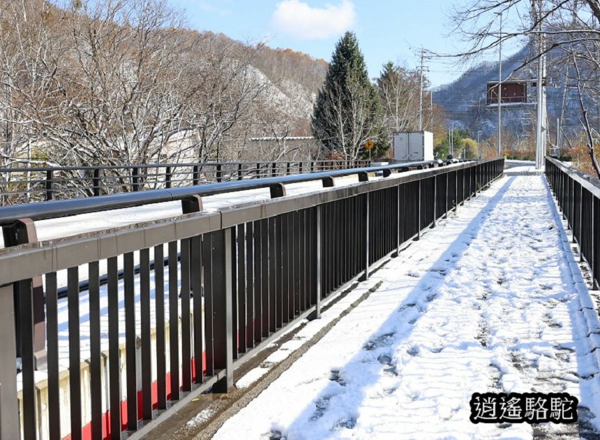 定山溪錦橋-日本駱駝