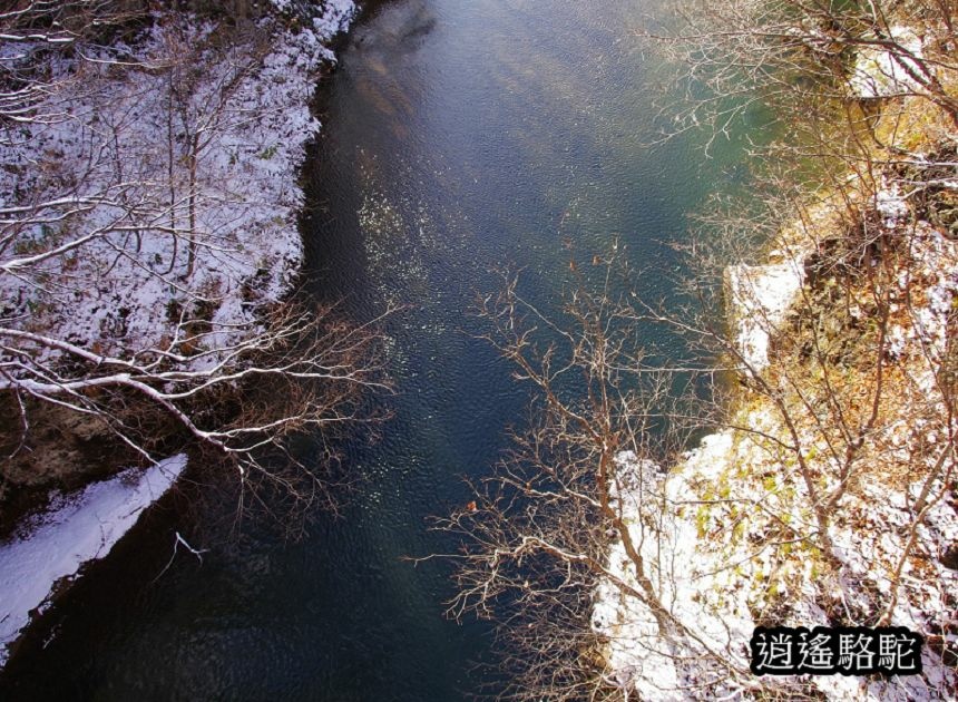 定山溪錦橋-日本駱駝