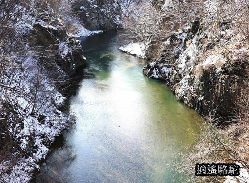 定山溪錦橋-日本駱駝