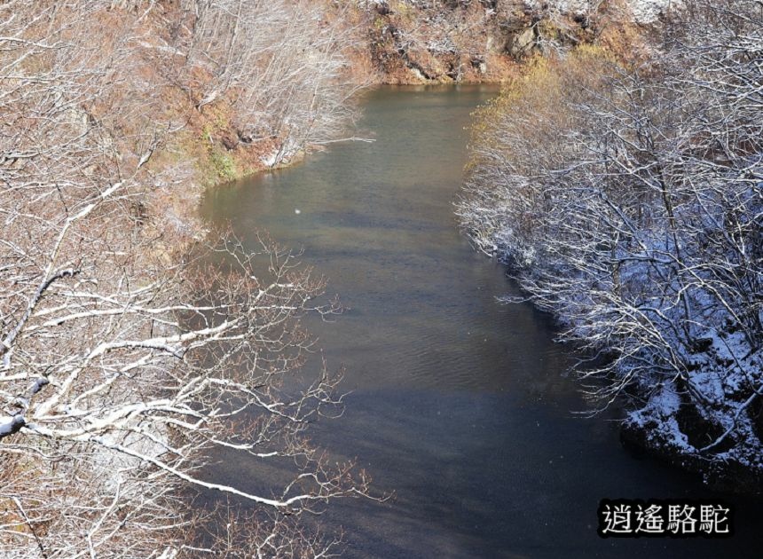 定山溪錦橋-日本駱駝