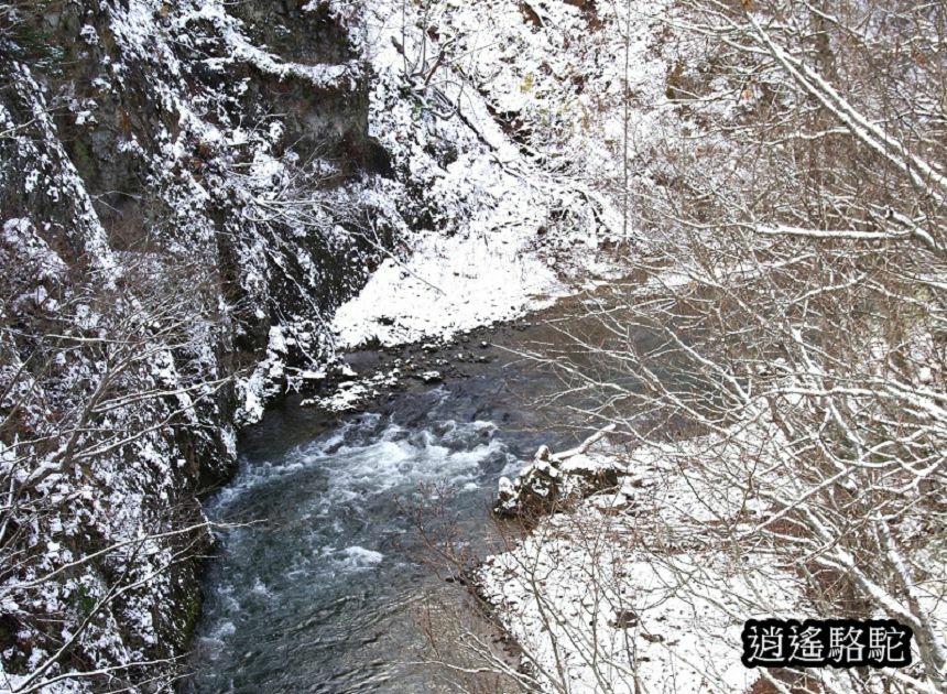 定山溪時雨橋-日本駱駝