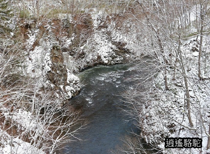 定山溪時雨橋-日本駱駝