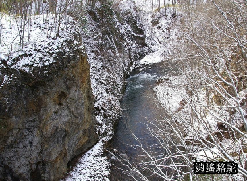 定山溪時雨橋-日本駱駝