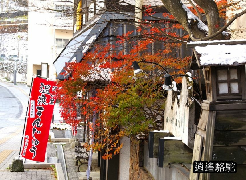 定山溪二見公園-日本駱駝